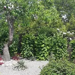 Apartmán Yvet