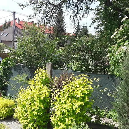 Yvet Apartment